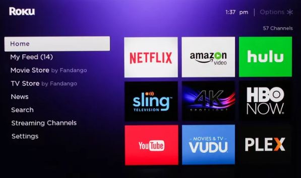 best roku private channel